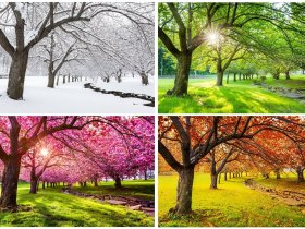 Jahreszeiten-Zauber an der Müritz inkl. Therme & Leihfahrrad