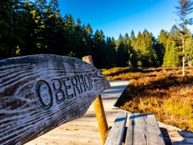 Last Minute Special-Deal / Kleine Auszeit im Thüringer Wald 