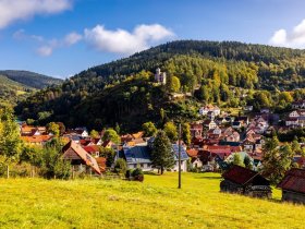 Kleine Auszeit im Thüringer Wald