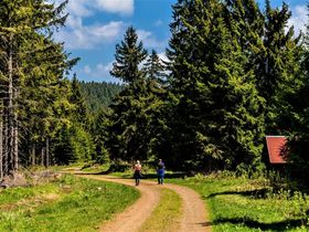 Kleine Auszeit im Thüringer Wald