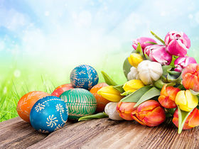 5 Tage Ostern im Naturpark Eichsfeld