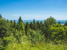 7 Tage Urlaub zwischen Teutoburger Wald & Weser Bergland 