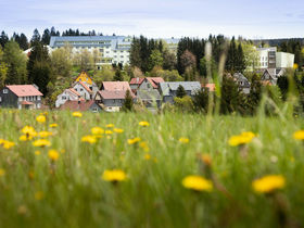 Murmelspaß - Familienferien im Thüringer Wald 