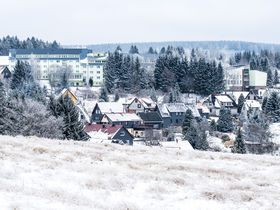 Murmelspaß - Familienferien im Thüringer Wald 
