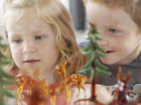 Murmelspaß - Familienferien im Thüringer Wald 