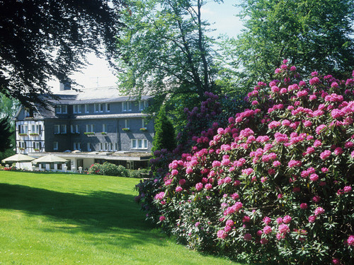 Hotel Jagdhaus Wiese