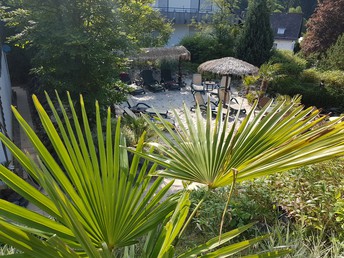 Bild 22 von 23