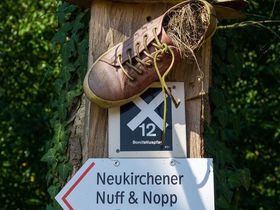 8 Tage im Rotkäppchenland Schwalm/Knüll.