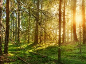 8 Tage im Rotkäppchenland Schwalm/Knüll.