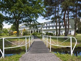 Frühlingserwachen auf dem Fischland Darß