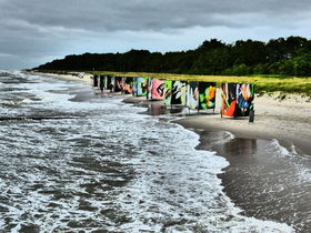Frühlingserwachen auf dem Fischland Darß