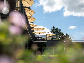 Vulcano Kuschel-Wochenende in der Pfalz 