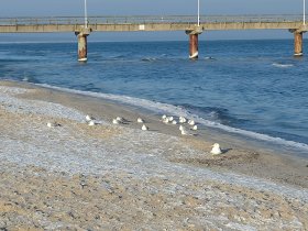 Ostseeurlaub in Zinnowitz