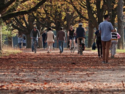 Pedal & Pause by Hackmann/ 3 Tage