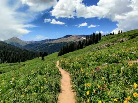 Exklusive Auszeit im Allgäu - Auszeit inkl. Gourmet-Abendmenü