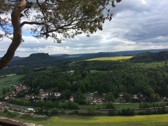 Bild 31 von 37