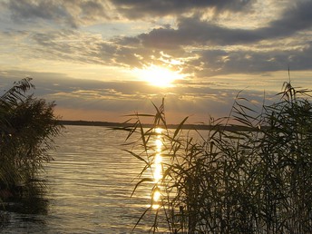 Bild 29 von 35