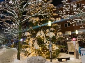 Weihnachten am großen Plöner See