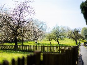 Gartenrundgänge bei Landgarten Schauerte