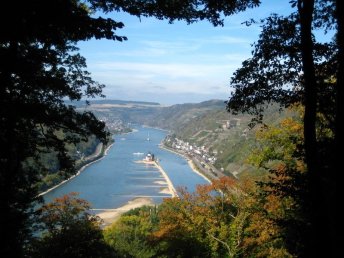 Bärenstarker Kurzurlaub | 3 Tage am Rhein inkl. Schifffahrt & Ticket  2