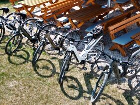 Silvester im Nationalpark