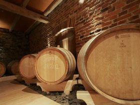 Silvester bei Gemmer's 2025/2026 im Rhein-Lahn Kreis - 4 Tage