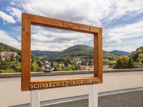 SCHWARZWALD PANORAMA