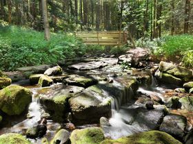 Schwarzwaldurlaub erleben - 4 Tage Adlerbad