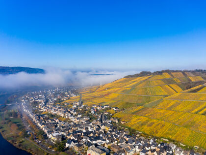 Faszination Mosel im Weinhotel - 3 Tage