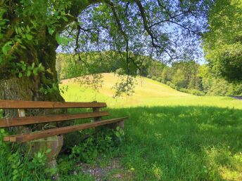 Bild 28 von 32