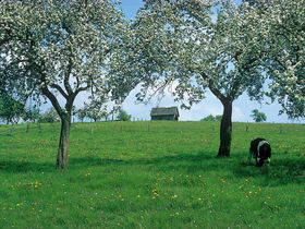 Wanderlust im Bergischen Land inkl. Heimatmuseum, Lunchpaket und HP - 3 Tage