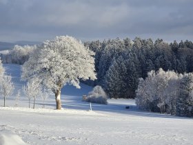 Familien-Erlebniszeit im Erzgebirge - bis zu 2 Kinder bis 12 Jahre gratis!