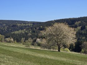 Familien-Erlebniszeit im Erzgebirge - bis zu 2 Kinder bis 12 Jahre gratis!