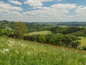 Mein Kurzurlaub im Sauerland - 4 Nächte - 5 Tage 