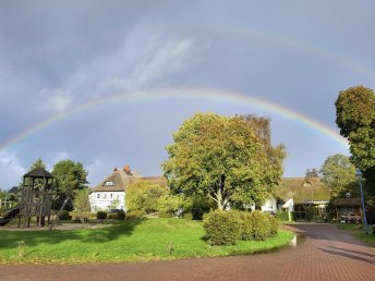 Bild 16 von 36
