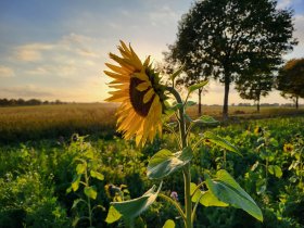 5-Tage Silvester auf Mönchgut