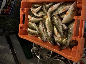 5-Tage Silvester auf Mönchgut