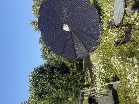 5-Tage Silvester auf Mönchgut