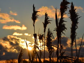 5-Tage Silvester auf Mönchgut