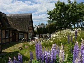 5-Tage Silvester auf Mönchgut