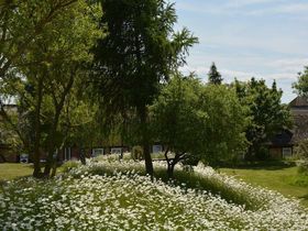 5-Tage Silvester auf Mönchgut