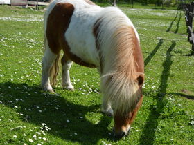 5-Tage Silvester auf Mönchgut