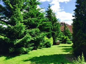 Meereswelten Stralsund inkl. Hafenrundfahrt