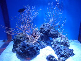 4 Tage Stralsund & Ozeaneum 