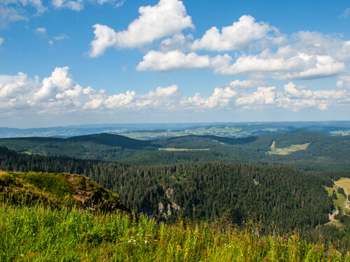5=4 (5 Nächte bleiben, 4 Nächte bezahlen) - Auszeit im Schwarzwald