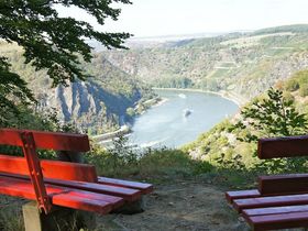 Genussradeln am Rhein, entlang der Burgen und Schlösser |4 Tage