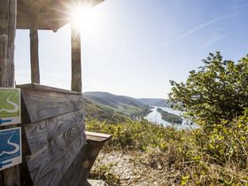 Genussradeln am Rhein, entlang der Burgen und Schlösser |4 Tage