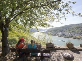 Genussradeln am Rhein, entlang der Burgen und Schlösser |4 Tage