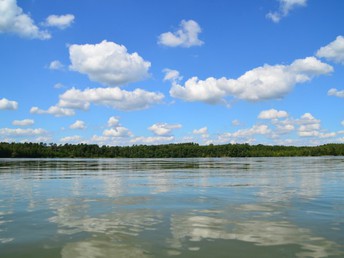 Bild 11 von 32