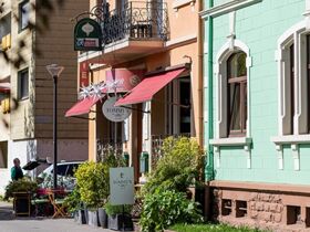 Wandern und Radeln am Rhein - Strassburg